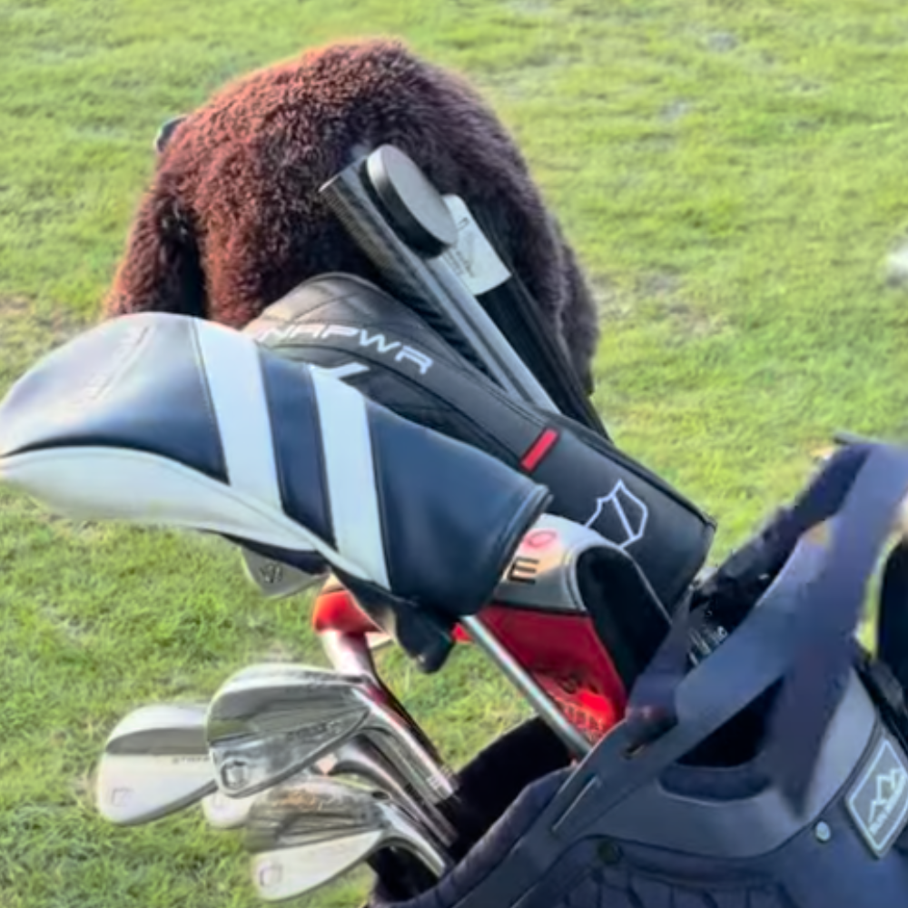 Stickinz - MagSafe Phone Holder Stick